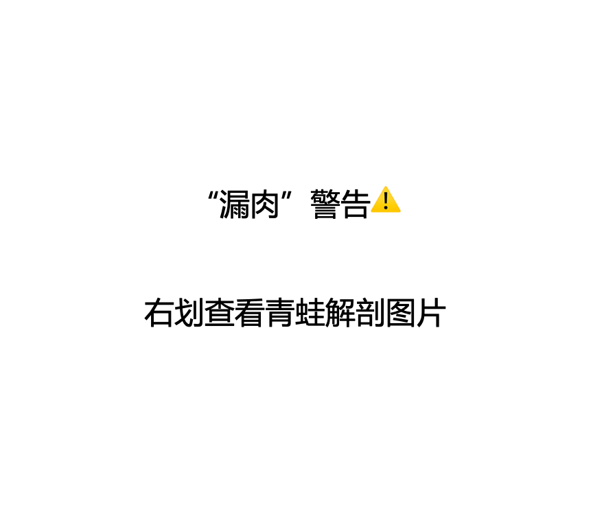 黄语荞10.png
